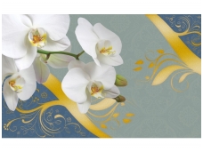 FOR WALL fototapetai 1826VE XL