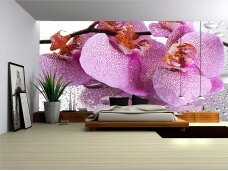 FOR WALL fototapetai 0184VE XL