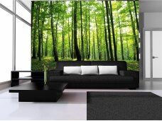 FOR WALL fototapetai 0186VE XL