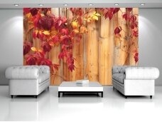 FOR WALL fototapetai 0189VE XXL