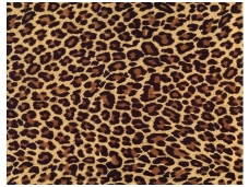 FOR WALL fototapetai 0190VE P4