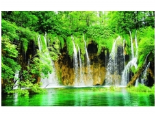 FOR WALL fototapetai 1923VE XL