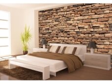 FOR WALL fototapetai 1927VE XXL FOR WALL fototapetai 1927VE XXL