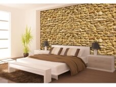 FOR WALL fototapetai 1929VE XXL FOR WALL fototapetai 1929VE XXL