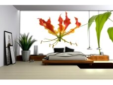 FOR WALL fototapetai 0193VE XL