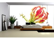 FOR WALL fototapetai 0194VE XXXL