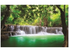 FOR WALL fototapetai 1966VE XL