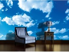 FOR WALL fototapetai 1992VE L