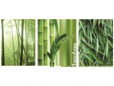 FOR WALL fototapetai 02-180VEP