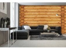 FOR WALL fototapetai 2215VE XXL FOR WALL fototapetai 2215VE XXL