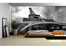 FOR WALL fototapetai 0221VE XL