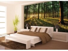 FOR WALL fototapetai 2225VE XXL FOR WALL fototapetai 2225VE XXL