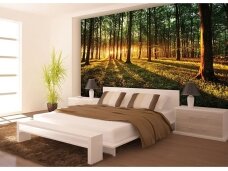 FOR WALL fototapetai 2226VE XXL FOR WALL fototapetai 2226VE XXL