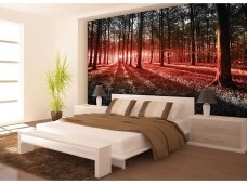 FOR WALL fototapetai 2227VE XXXL