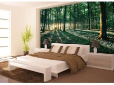 FOR WALL fototapetai 2228VE XXL FOR WALL fototapetai 2228VE XXL