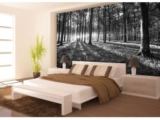 FOR WALL fototapetai 2229VE XXL FOR WALL fototapetai 2229VE XXL