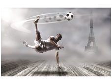 FOR WALL fototapetai 2255VE XXL