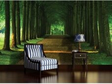 FOR WALL fototapetai 2285VE XXL FOR WALL fototapetai 2285VE XXL