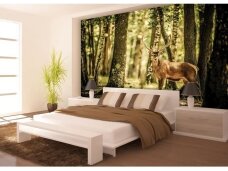 FOR WALL fototapetai 2286VE XXL FOR WALL fototapetai 2286VE XXL
