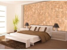 FOR WALL fototapetai 2320VE XXXL FOR WALL fototapetai 2320VE XXXL