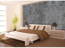 FOR WALL fototapetai 2321VE XXL FOR WALL fototapetai 2321VE XXL
