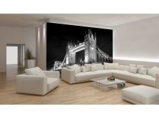 FOR WALL fototapetai 0235VE XL