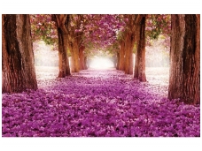 FOR WALL fototapetai 2378VE XXL