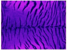 FOR WALL fototapetai 0241VE XXXL
