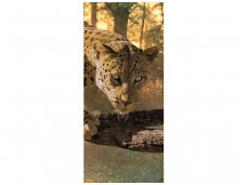 FOR WALL fototapetai 0242VET