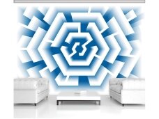 FOR WALL fototapetai 2453VE XXL