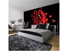 FOR WALL fototapetai 2506VE L FOR WALL fototapetai 2506VE L
