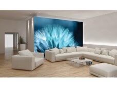 FOR WALL fototapetai 0256VE XXXL