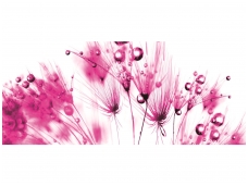 FOR WALL fototapetai 0259VEP