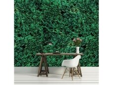 FOR WALL fototapetai 2623VE XXXL FOR WALL fototapetai 2623VE XXXL
