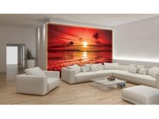 FOR WALL fototapetai 0262VE XL