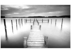 FOR WALL fototapetai 2655VE XXL