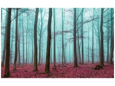 FOR WALL fototapetai 2657VE XXXL