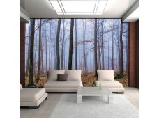 FOR WALL fototapetai 2658VE XXL