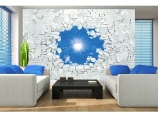 FOR WALL fototapetai 2722VE XXL