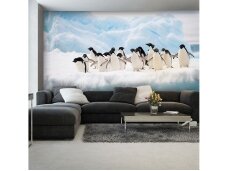 FOR WALL fototapetai 2726VE XXXL FOR WALL fototapetai 2726VE XXXL