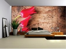 FOR WALL fototapetai 0272VE L FOR WALL fototapetai 0272VE L
