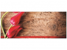 FOR WALL fototapetai 0272VEP