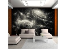 FOR WALL fototapetai 2732VE XL