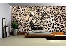 FOR WALL fototapetai 0278VE XL
