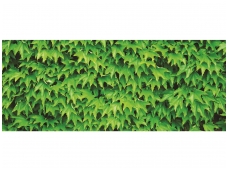 FOR WALL fototapetai 0279VEP