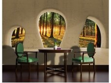 FOR WALL fototapetai 2823VE XXL