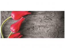 FOR WALL fototapetai 0282VEP