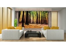 FOR WALL fototapetai 2865VE XXXL FOR WALL fototapetai 2865VE XXXL