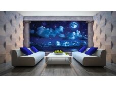 FOR WALL fototapetai 2873VE XXXL FOR WALL fototapetai 2873VE XXXL
