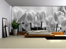 FOR WALL fototapetai 0287VE XL